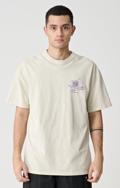 EXPRESS TEE - PIGMENT WHITE